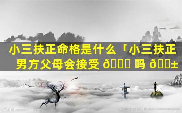 小三扶正命格是什么「小三扶正男方父母会接受 🍀 吗 🐱 」